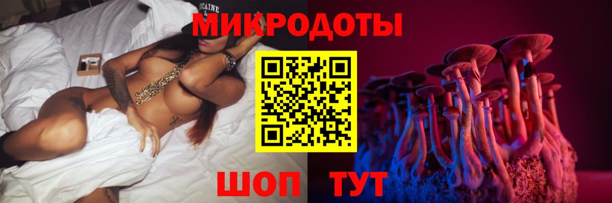 Галлюциногенные грибы Psilocybine cubensis  Вход с VPN  Сокол  Псилоцибиновые грибы прущие грибы 