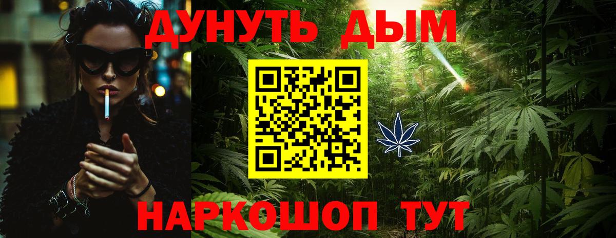 Шишки марихуана план  Канабис Bruce Banner  Вход с VPN  Сокол 